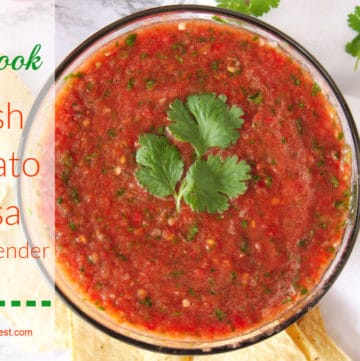 No Cook Fresh Tomato Salsa Recipe in the Blender