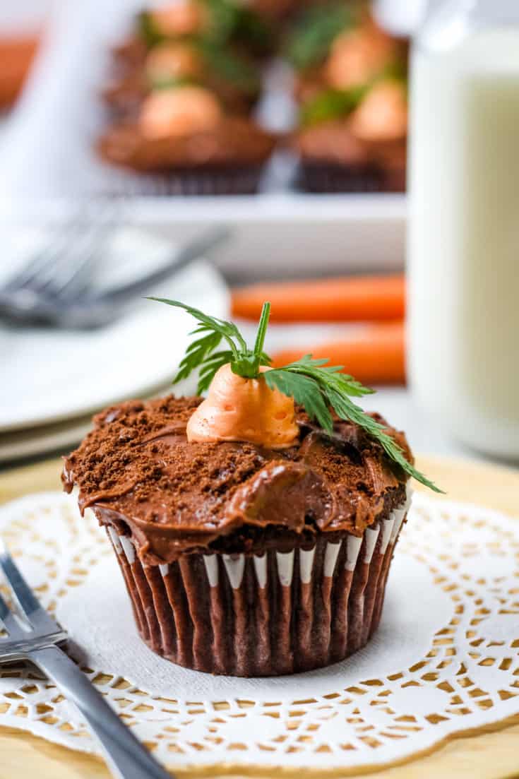 Chocolate Carrot Patch Cupcakes | Everyday Southwest