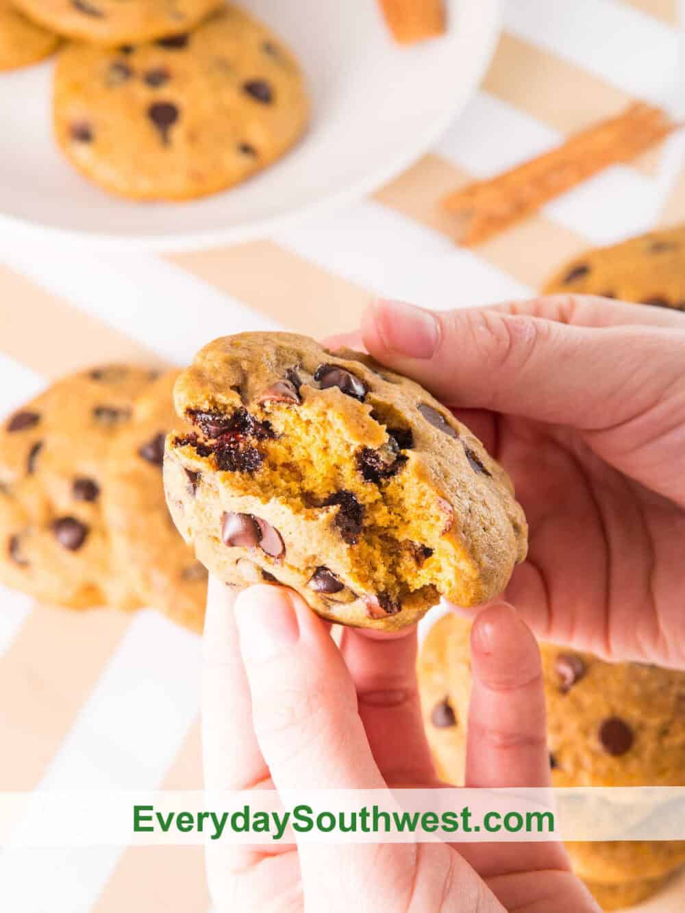 Pumpkin and Chocolate Chip Cookies Soft in the middle