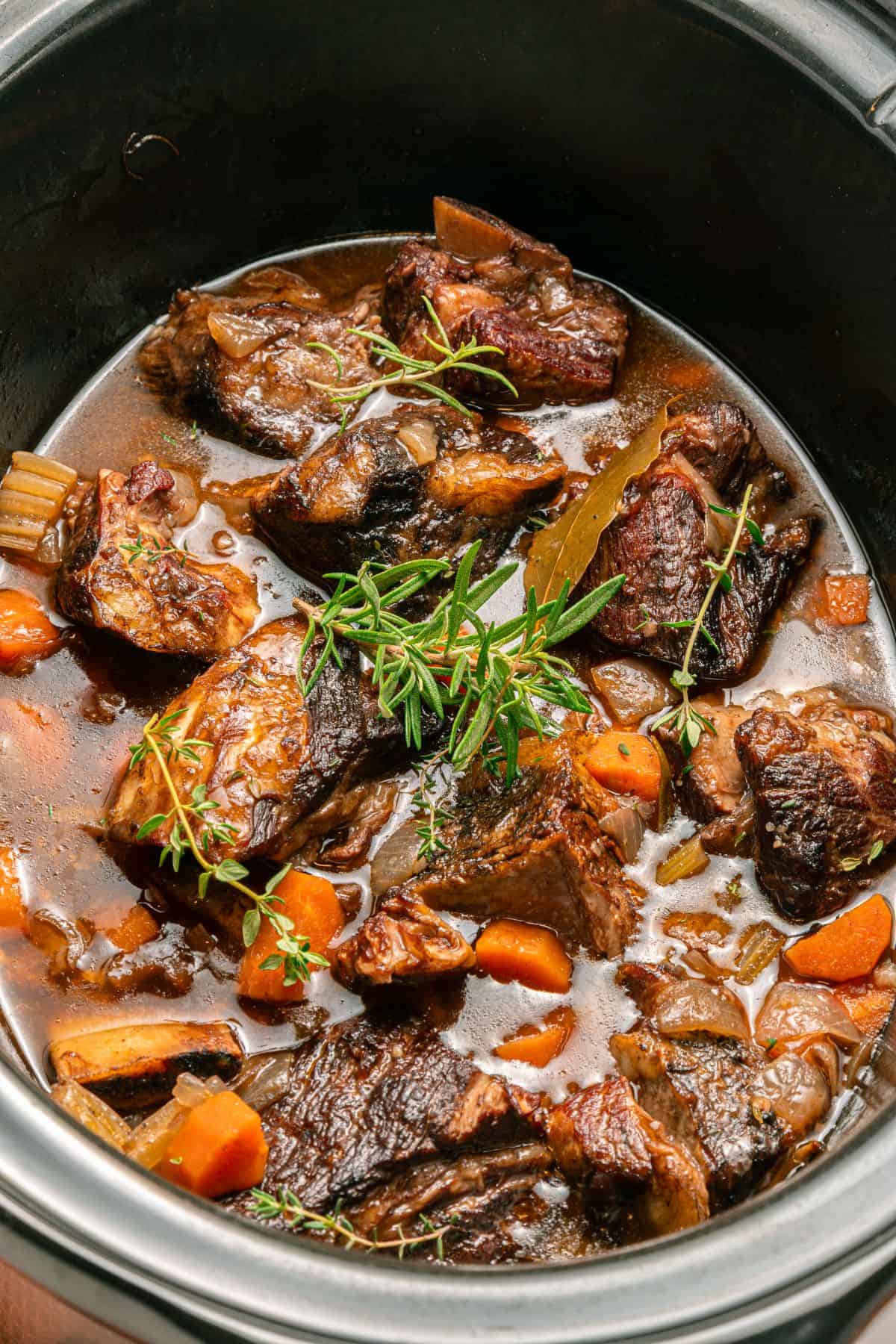 Close up on the slow cooker short ribs with red wine.