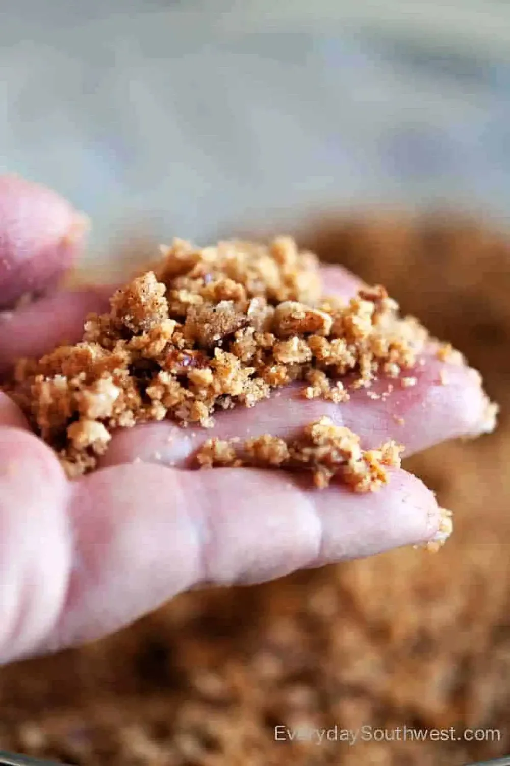 Graham Cracker Crumbs for Pie Crust with Pecans